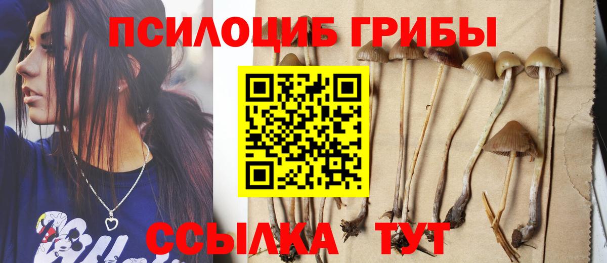 Галлюциногенные грибы прущие грибы  Вход с VPN  наркошоп  Новороссийск 
