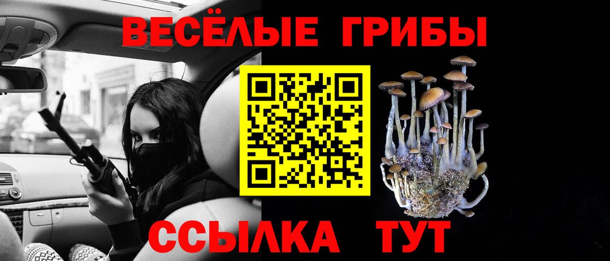 Псилоцибиновые грибы прущие грибы Новороссийск