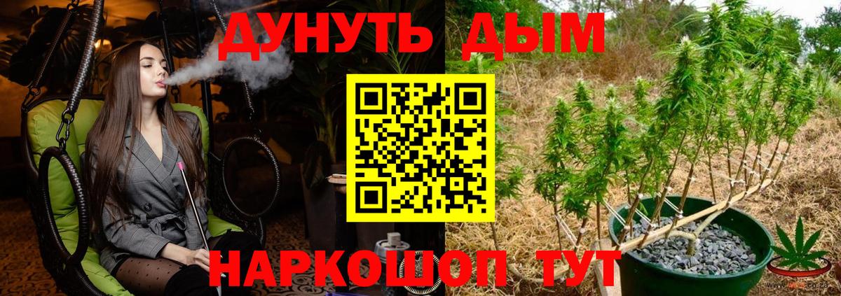 Каннабис планчик  Канабис OG Kush  Бошки Шишки Amnesia  Вход с VPN  Новороссийск  Конопля индика 